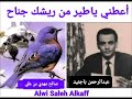 أعطني ياطير من ريشك جناح الفنان عبدالرحمن باجنيد Alwi Alkaff