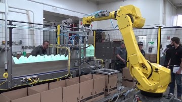 Hamrick Manufacturing - CP10-R Robotic Case Packing Cell w/ FANUC 710iC Robot (HD)