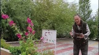 Choglamsar Tashi Gatsal Muni Muni Gonpa 19July2025