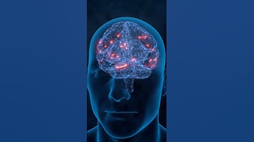 Robot injected in the skull spreads its tentacles to monitor the brain #robots #brain #technology