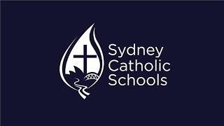 Sydney Swimming Championships Primary
