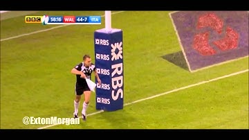 Touch Judge Runs Into Post - Wales v Italy 2016