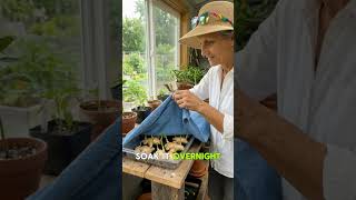 Never Buy Ginger Again! 🫚 Unlimited Harvest Hack