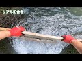 堰から水を引く〜水当て