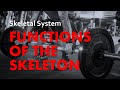 Functions of the Skeletal System Quiz