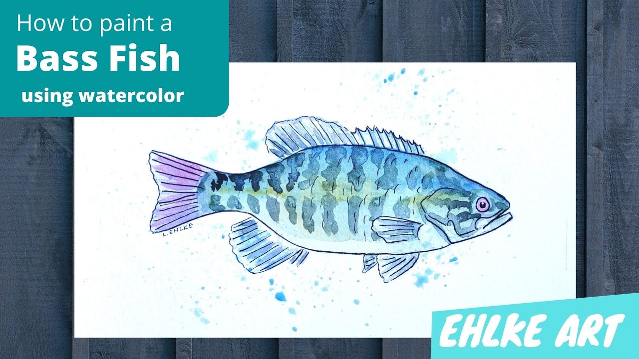 Bass Fish in Watercolor and Ink YouTube