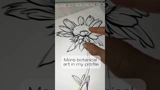 Botanical Line Art for Packaging Design – Hand-drawn Flower #adobestock #handdrawn #sketch