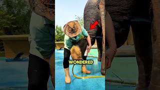 They Hear With Their Feet But Only If Theyre Clean