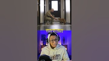 This Prison allows Inmates to Adopt Cats 🐈