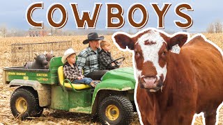 Little Cowboys Wrangle Lost Cows on Farm! TOY COW WRANGLING/POWERWHEELS/CATTLE/FARM/CALF