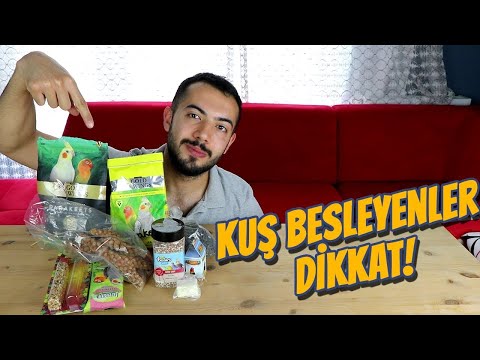 MUHABBET KUŞU & SULTAN PAPAĞANI İHTİYACI OLAN HERŞEY! (Kuşlarınızı Nasıl Beslemelisiniz?)