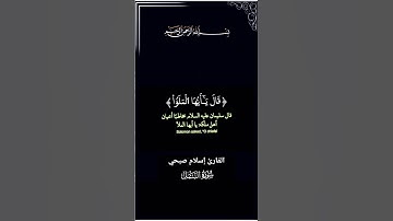 قران كريم القارئ اسلام صبحي سورة النمل شاشة سوداء #قرآن #قران_كريم #اسلام_صبحي