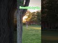Golf is hard #noobsplaygolf #golfshot #golftechnique #beautiful #outside #goldenhour #goldenshower