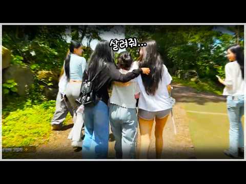 괴롭히지 마세요ㅠㅠ thumbnail