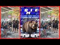 MEDLEY TROPA DO BMW [[ LANÇAMENTO 2025 ]] MC GB - EQUIPE URSO ²²