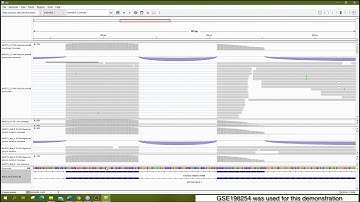 Visualization of de novo transcriptome assembly and mapping results