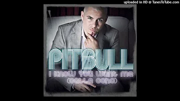 Pitbull - I Know You Want Me (Calle Ocho) (Super Clean)