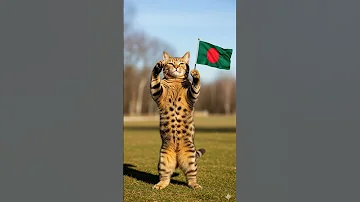 I Love Bangladesh 