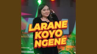 Download Lagu Larane Koyo Ngene Download Lagu Larane Koyo Ngene
