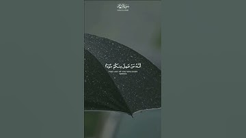 رونق الاداء الهادئ للقارئ عبدالملك الراجح ٢