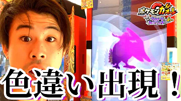 ポケモンガオーレ かつまたん