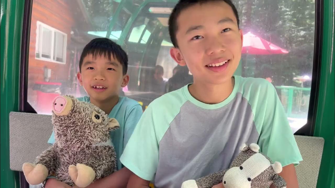 Trees of Mystery in Klamath California (bonus footage) YouTube