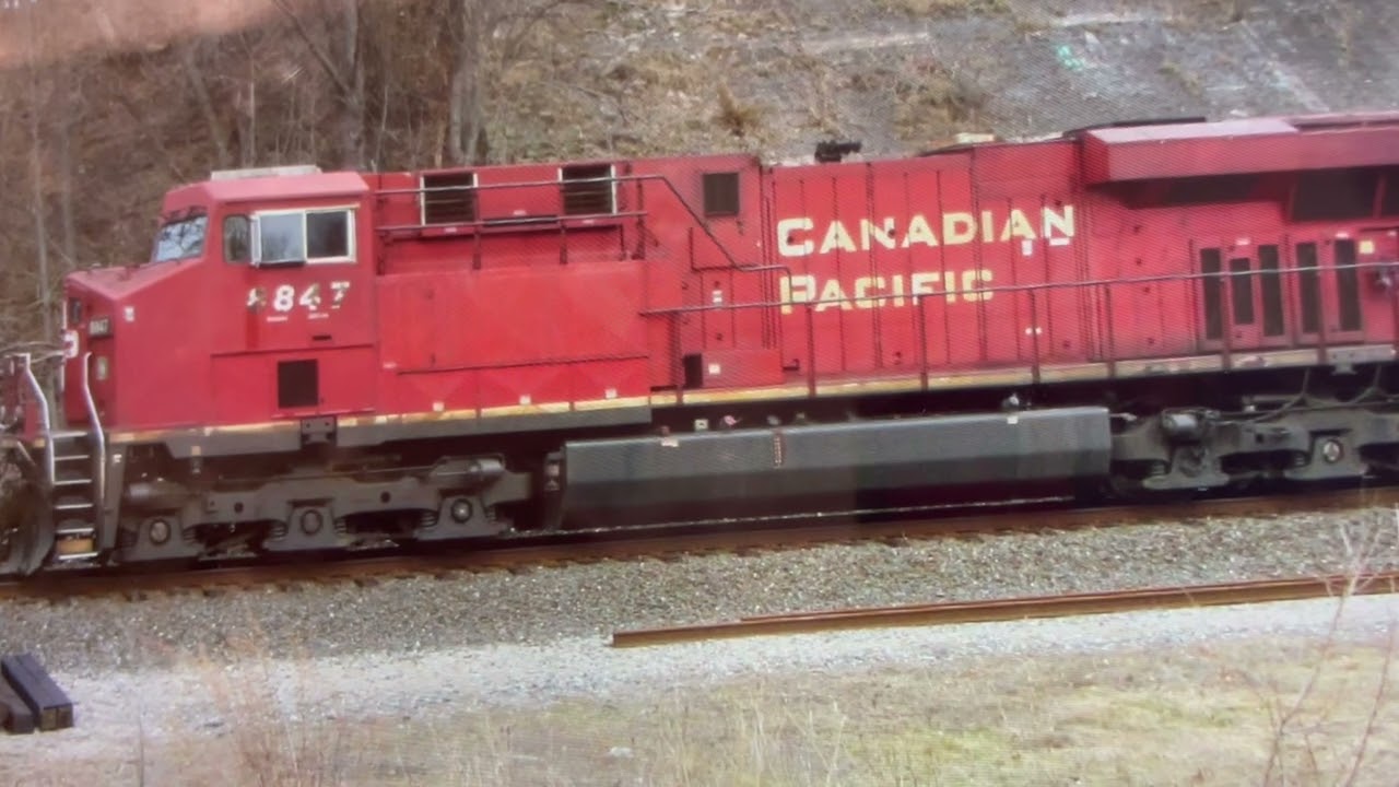 Cp 8847 and his horn is broken