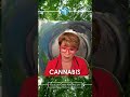 Cannabis Legal News #mantramovement #Psychic #mantras #remoteviewing #aura #chakras