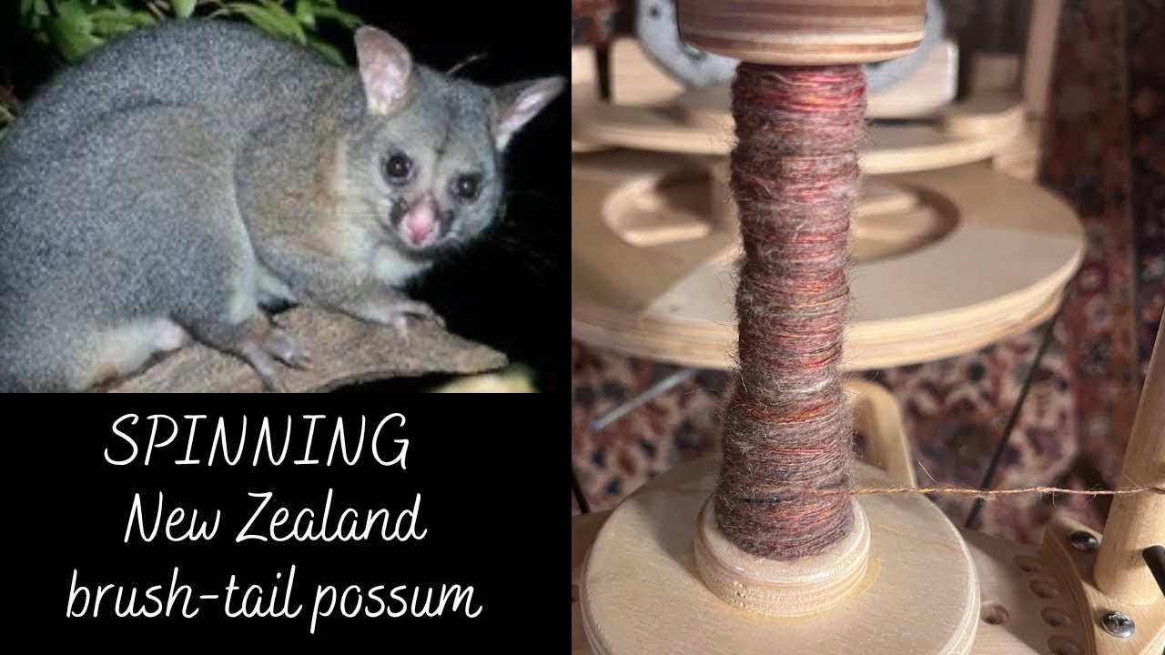 Tour De Fleece July 13 19 Challenge spin with New Zealand Brush-Tailed Possum/Moreno/Silk blend Batt
