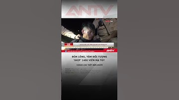 Đi xe máy cùng 1400 viên ma tuý không qua được mắt CSGT | ANTV