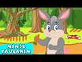 Capture de la vidéo Tavşanım Tavşanım Minik Tavşanım - Eğlenceli Çocuk Ve Bebek Şarkısı - Çizgi Film - Tavşan Şarkısı