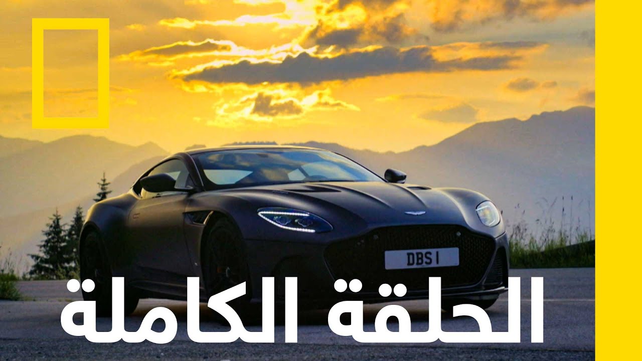       |    |   
 - نشر قبل 20 دقيقة