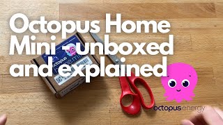 Octopus home mini unboxing - what does it do