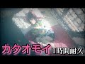 【カタオモイ】Aimer 1時間耐久 〈広告無し〉