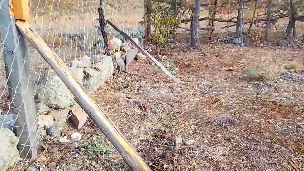 Erzincan Refahiye yurtbaşı köyü Ali İncesulu Ramazan İncesulu 