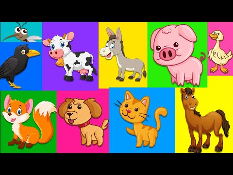 Песенка Для Детей - Как Говорят Животные. Животные Для Детей