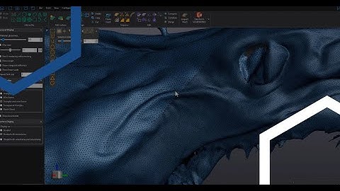 VXmodel How to merge scans