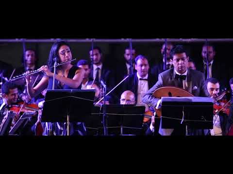 مؤلف الحب والسلام (الجزء الثاني) | مفاجأة 2020