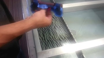 Pink PlayStation 3 controller dipped through zebra