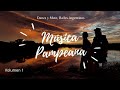 10 intrpretes msica tradicional surea  pampeana vol1 folkloreargentino danzaymate playlist