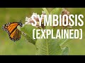 Symbiosis in 5 minutes what is symbiosis