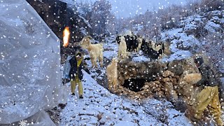 Download Lagu Caveman Life in the Mountains: ❄️🏔️ Saving Animals in the Deadly Snow and Cold of Winter 🐕 MP3