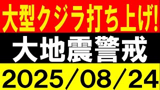 Download Lagu 大型クジラ打ち上げ!大地震警戒!地震研究家 レッサー MP3 Download Lagu 大型クジラ打ち上げ!大地震警戒!地震研究家 レッサー MP3