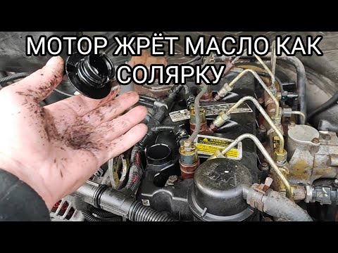 ЭНДОСКОПИЯ САПУНЯЩЕГО МОТОРА Cummins