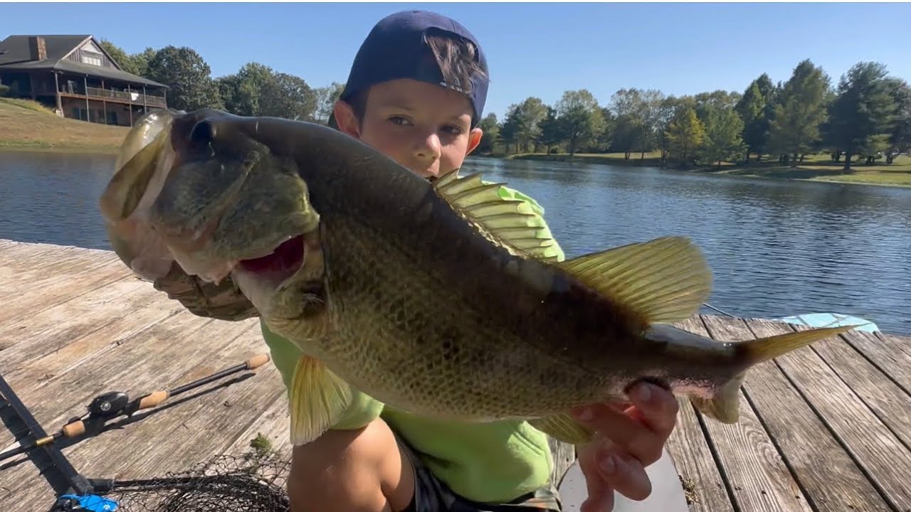 Catching tons of Bass! #bassfishing #bass #outdoors #fish #fishing #alljackedup #funnykid