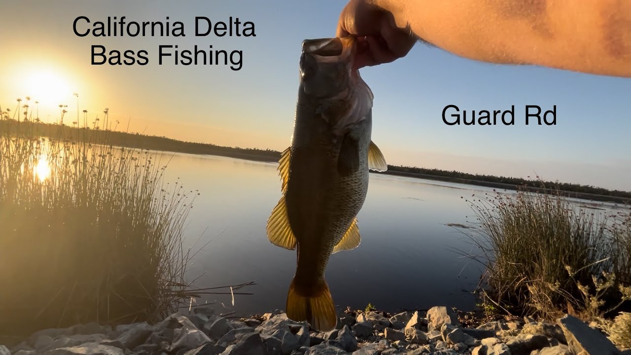 Bass fishing Ca Delta at Guard rd. A big catch and a questionable situation.