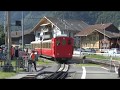 Swiss Bernese Oberland - Wilderswil to Schynige Platte Railway