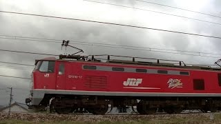 レッドサンダーEF510-17牽引高速貨物 3097レ 広島(タ)→新潟(タ)