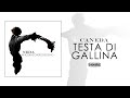 CANEDA - 10 - TESTA DI GALLINA