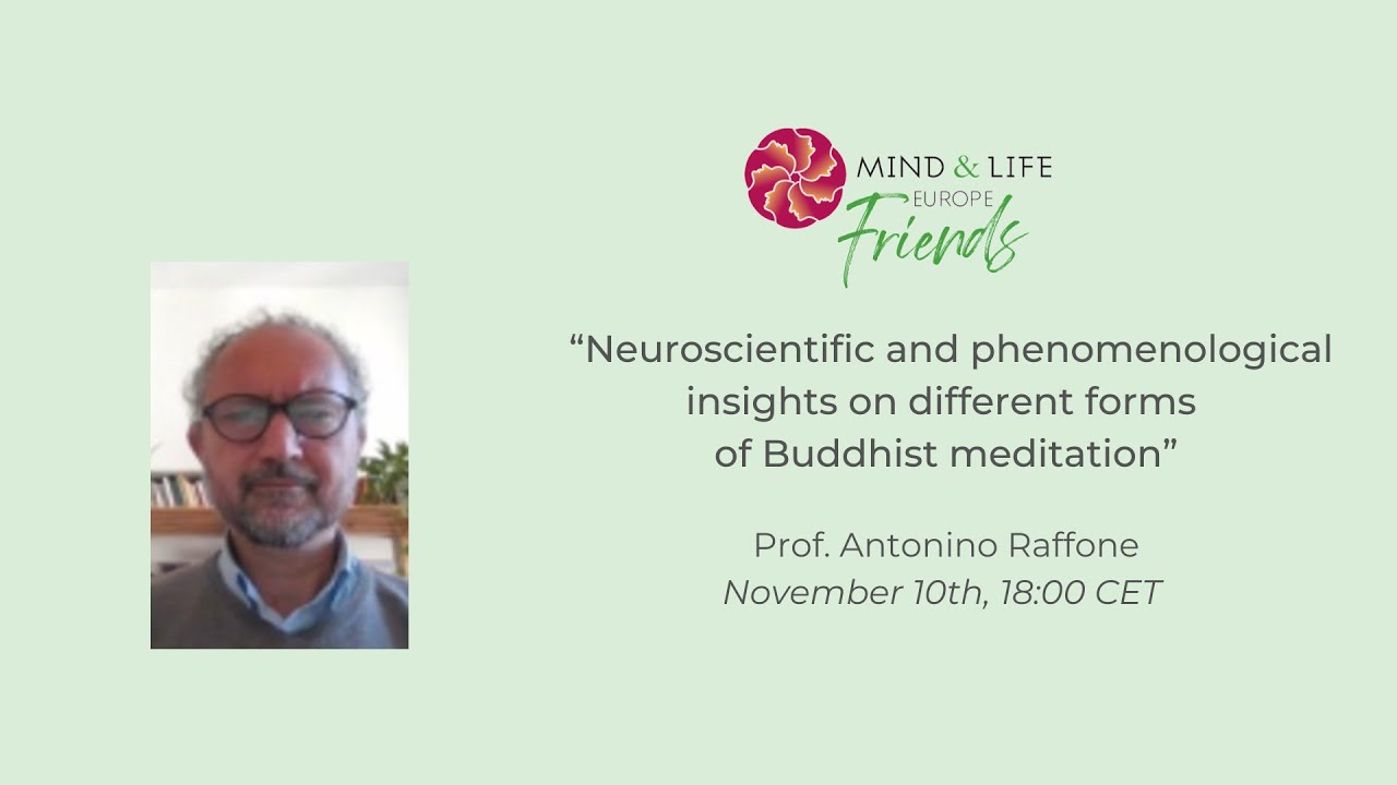 William Raffone MLE Friends webinar:
